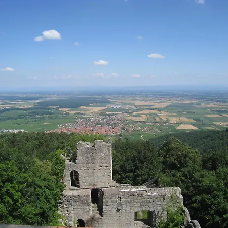 Muscat En Alsace Sur La Route Des Vins