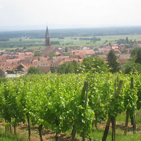 Muscat En Alsace Sur La Route Des Vins Lejlighed