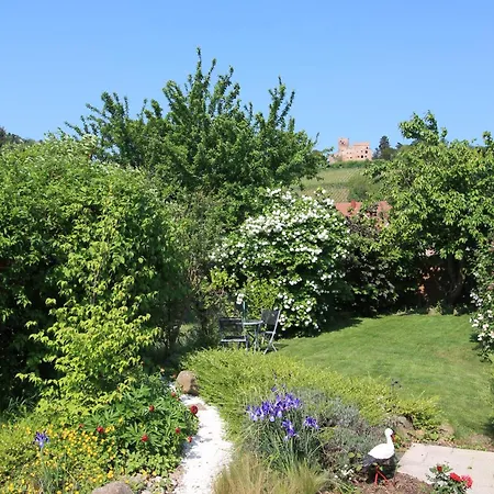 Muscat En Alsace Sur La Route Des Vins *