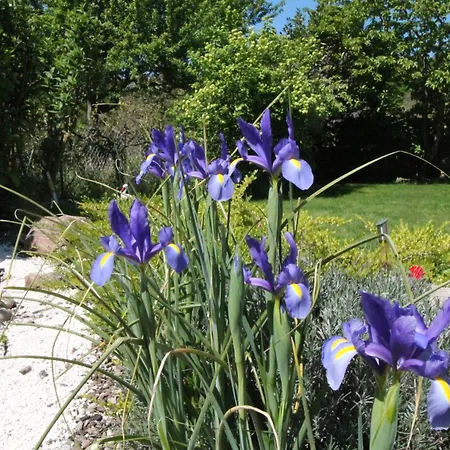 Apartment Muscat En Alsace Sur La Route Des Vins Kintzheim