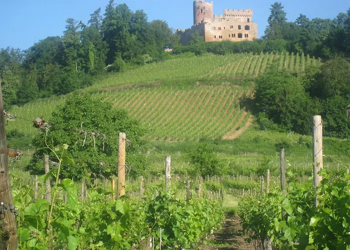 Muscat En Alsace Sur La Route Des Vins Apartment