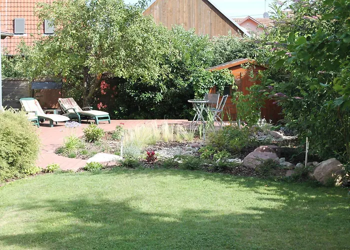 Muscat En Alsace Sur La Route Des Vins Kintzheim