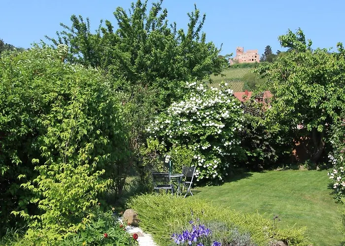 Muscat En Alsace Sur La Route Des Vins *